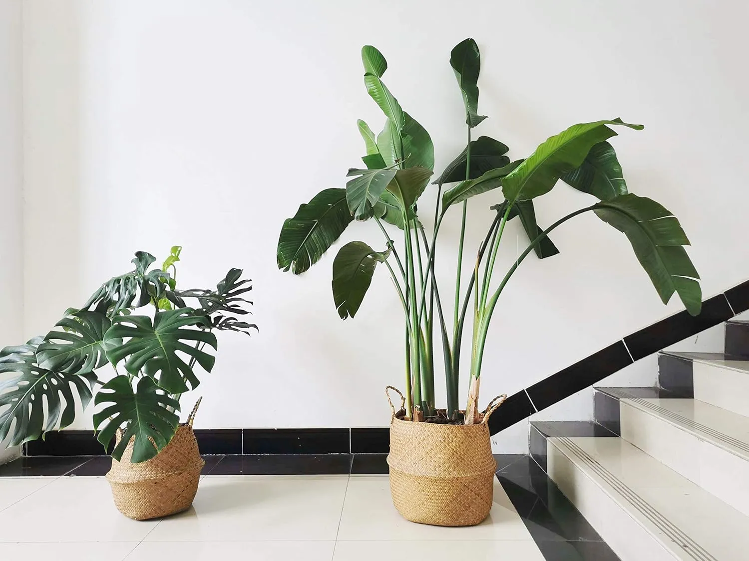 DOKOT Seagrass Plant Basket with Handles, Wicker Woven Storage Basket, 9.5inch Diameter x 11inch Height